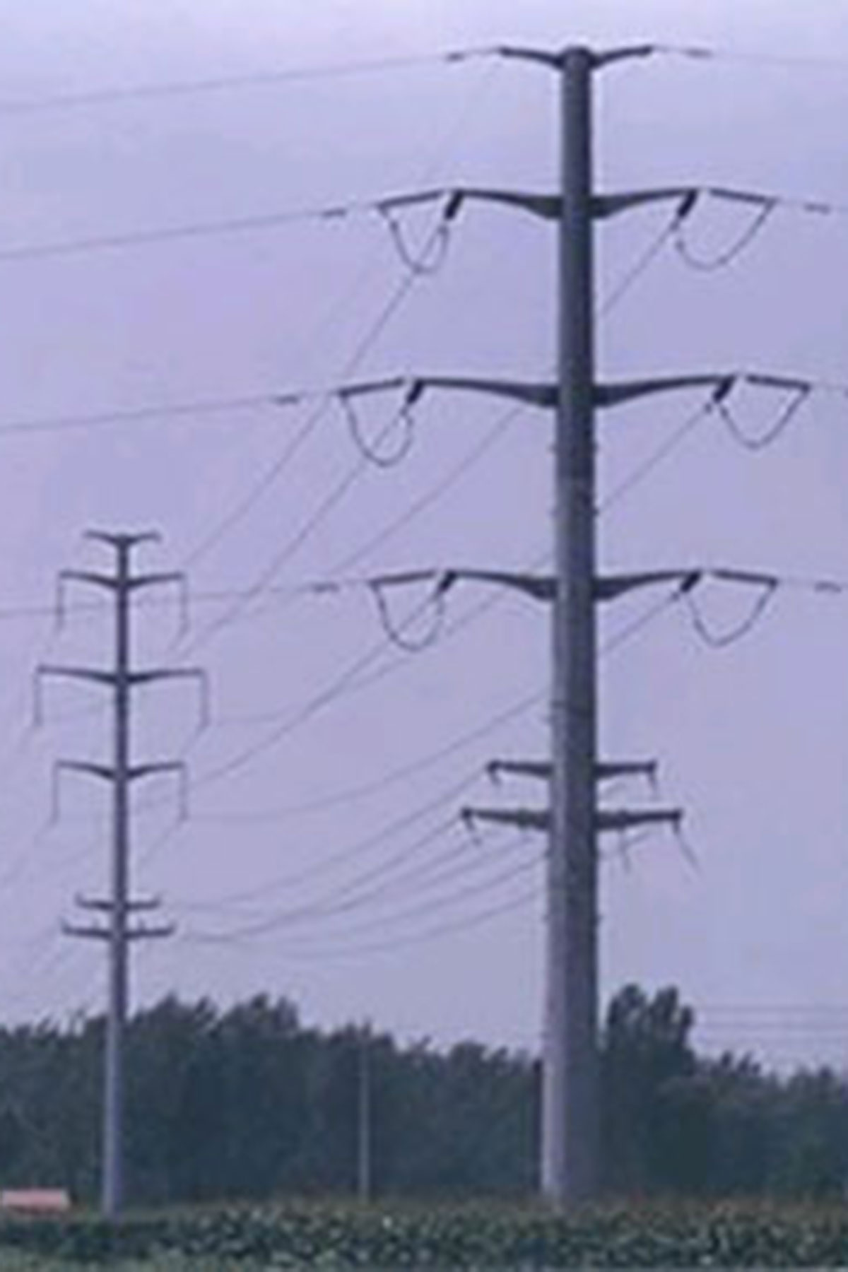 Double circuit steel pole