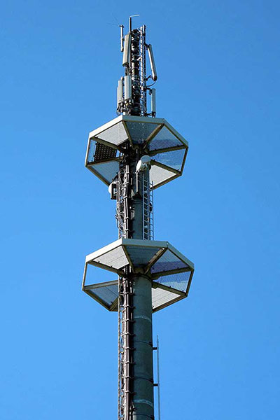 Telecommunication monopole